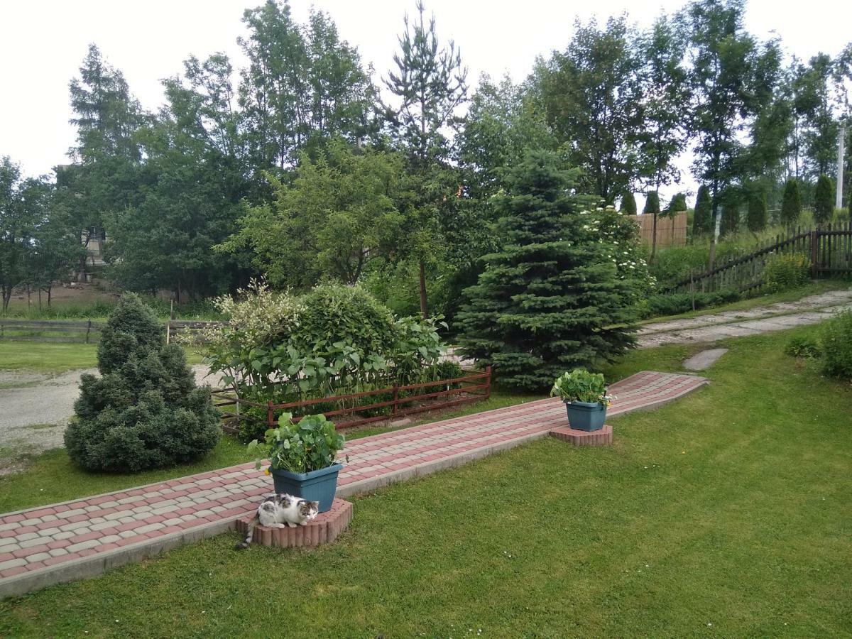 Apartament Widok Czarna Góra Esterno foto