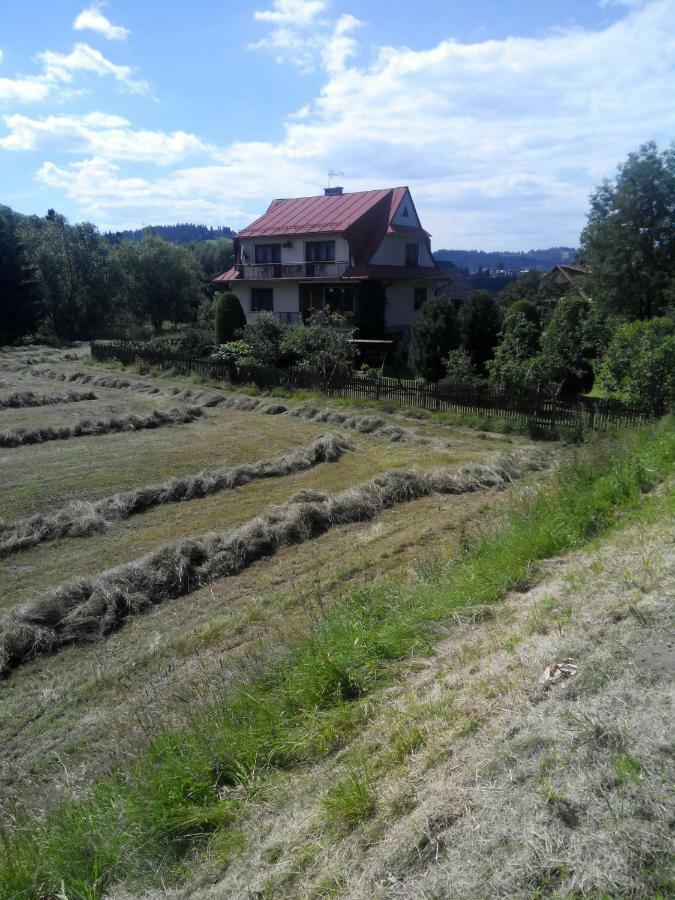 Apartament Widok Czarna Góra Esterno foto